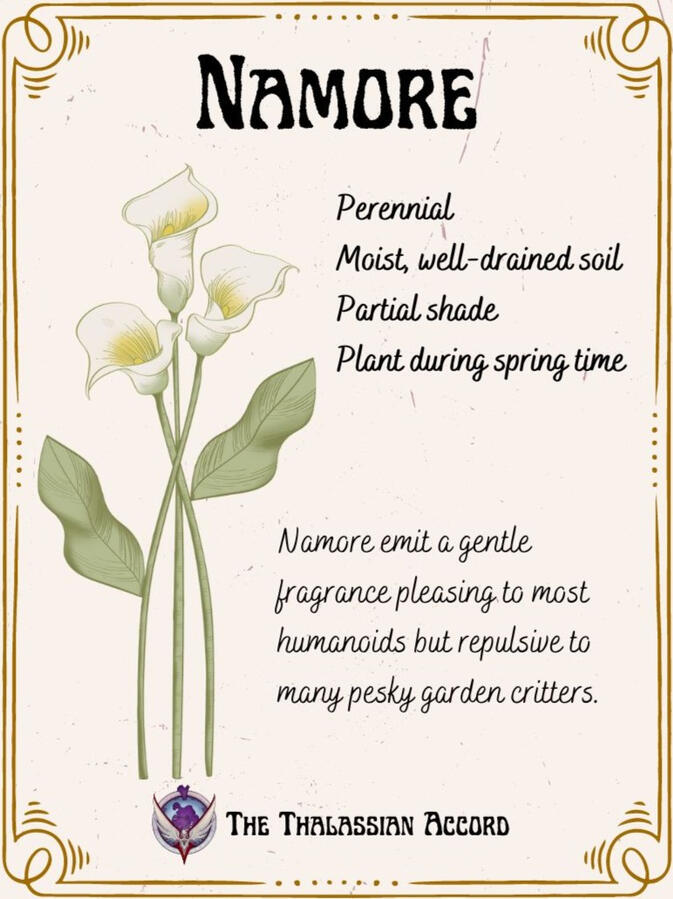 Namore Namore
